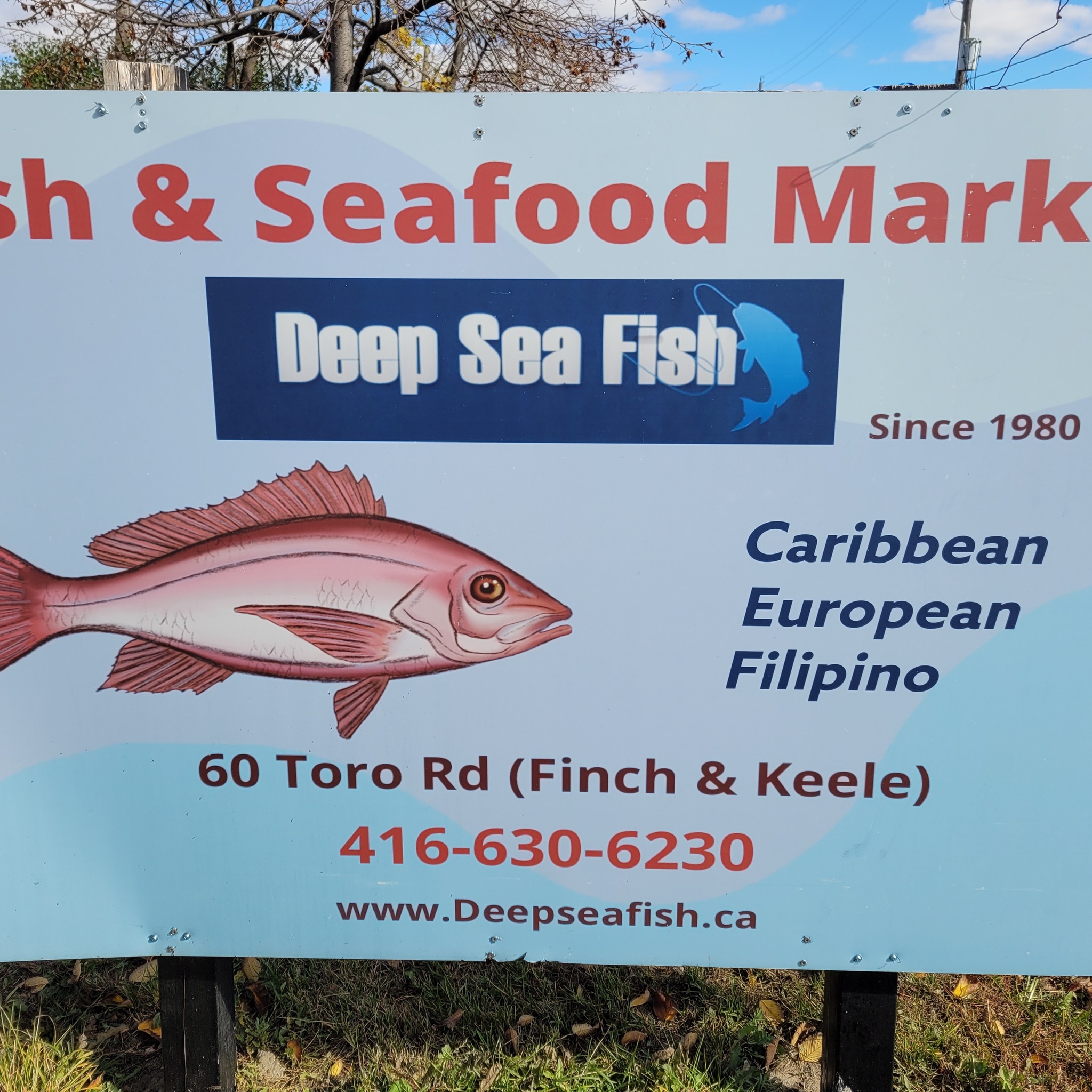 Tuesdays hit different at Deep Sea 🐟 Fresh shipment just landed and the ...