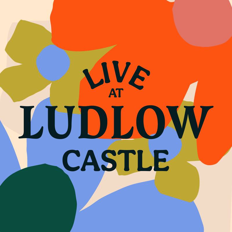 Postcode presale tickets for McFly... - Live At Ludlow Castle | Facebook