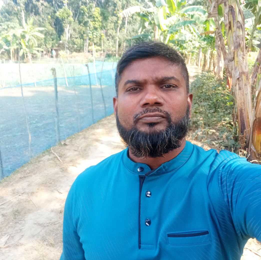 Marjan vai