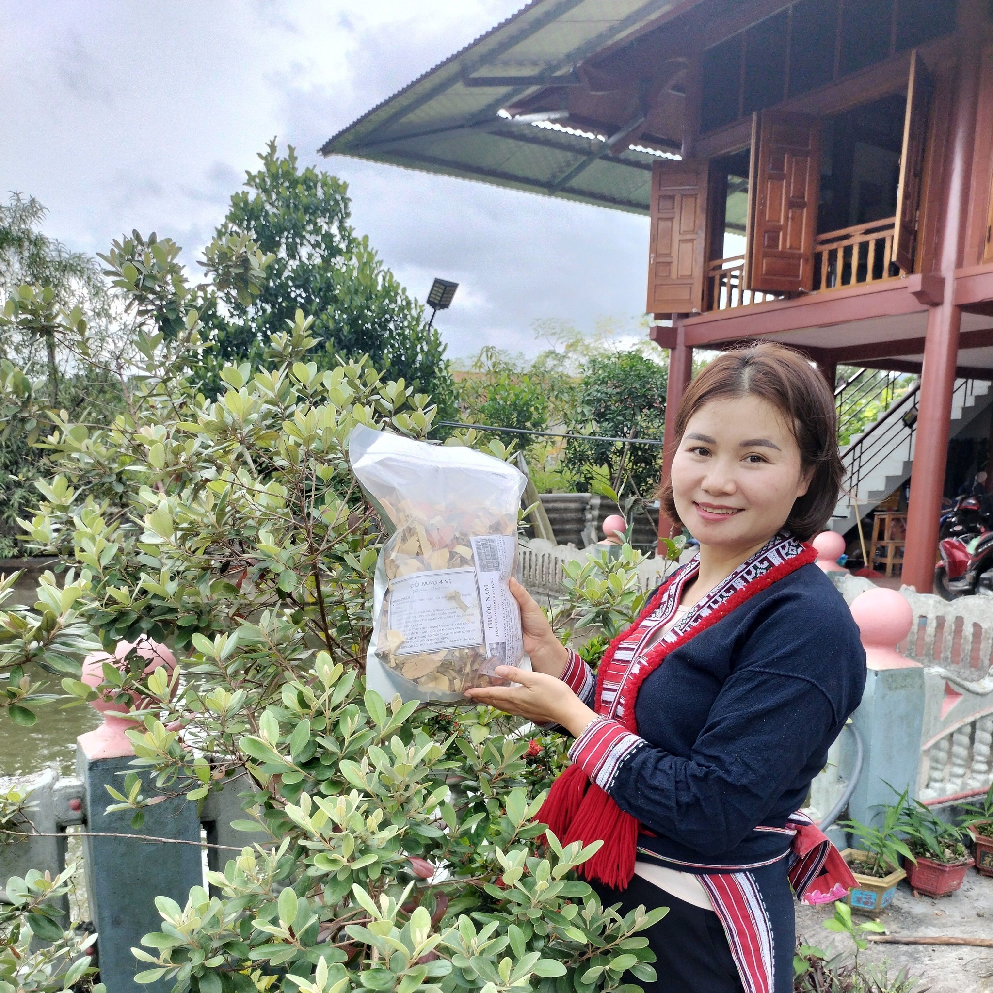 Mô hình trồng cây khôi dưới tán rừng đã được e thử nghiện và hiệu quả ...