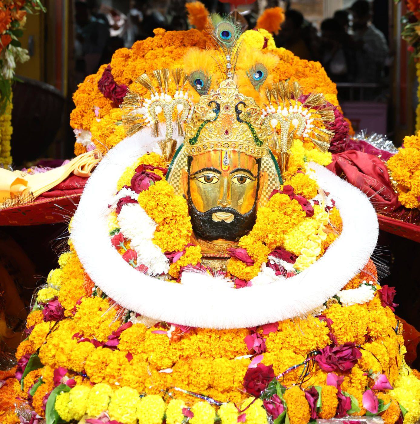 Govt.of Runicha Sarkar | Ramdevra