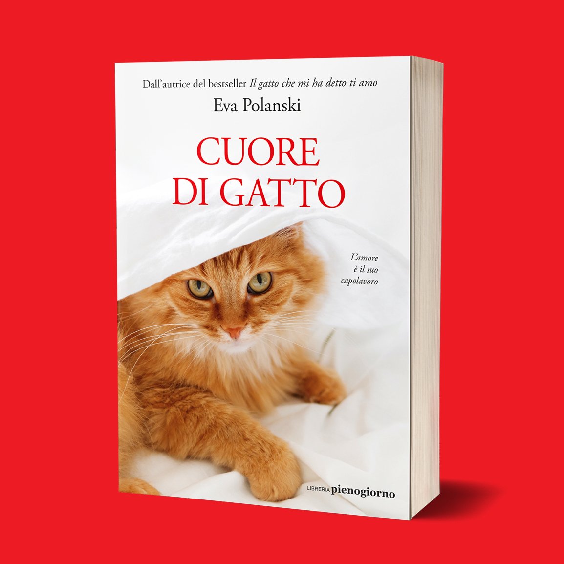 Nora E La Principessa E Il Cuore Di Gatto Randagio HD Per PS4 - Edizione Giapponese NTSC-J Nuova