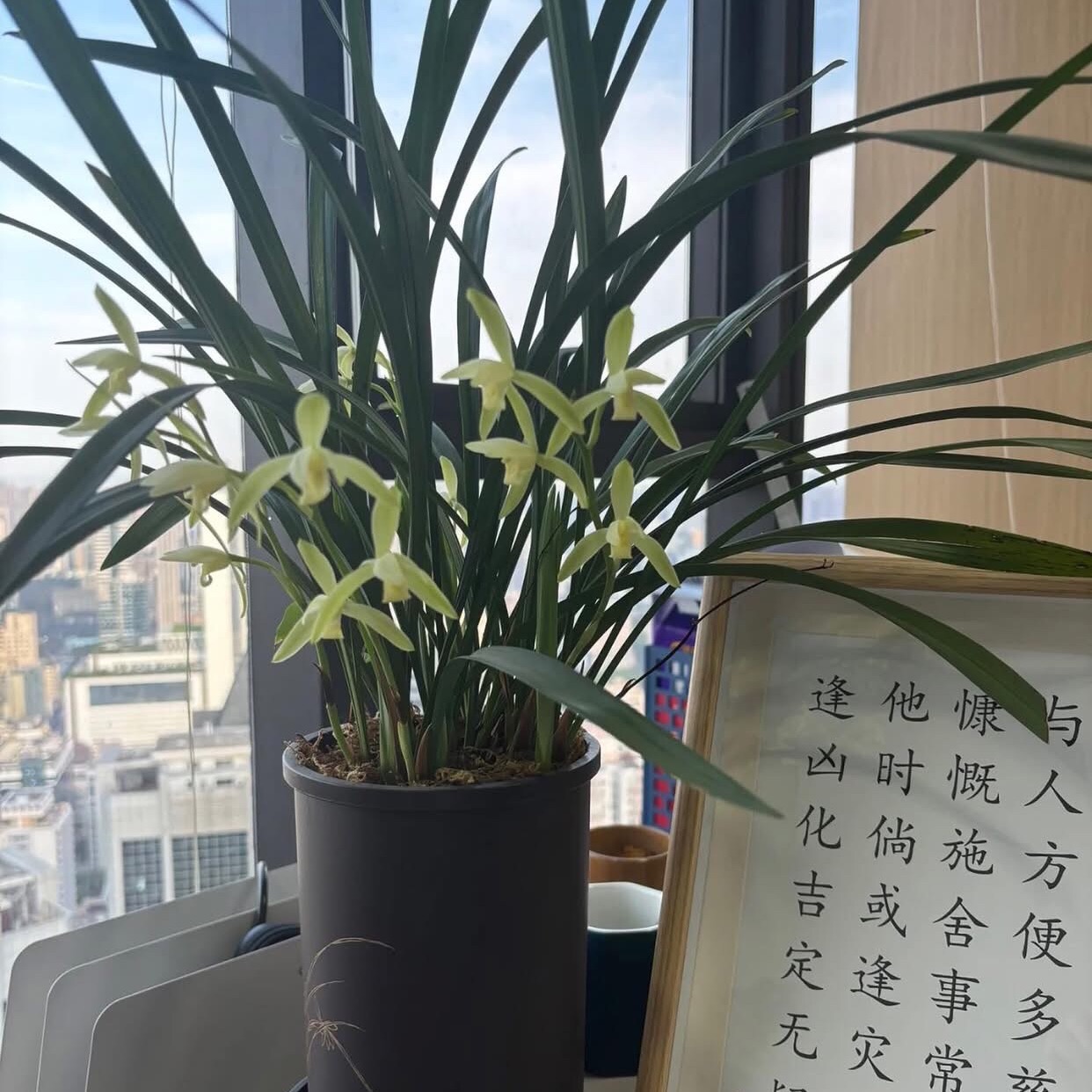 陈宏伟