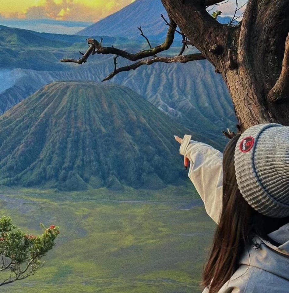 INDONESIA TRAVEL ADVICE | I'll visit Flores, Labuan Bajo and East Java ...