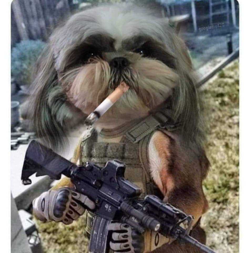 MEME MONTE. REY | Monterrey