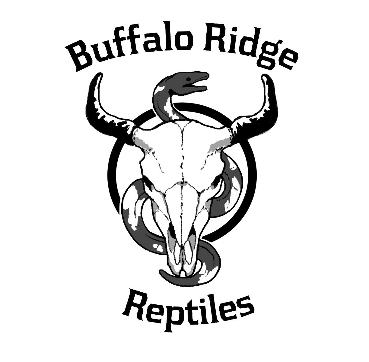Buffalo Ridge Reptiles | Iowa City IA