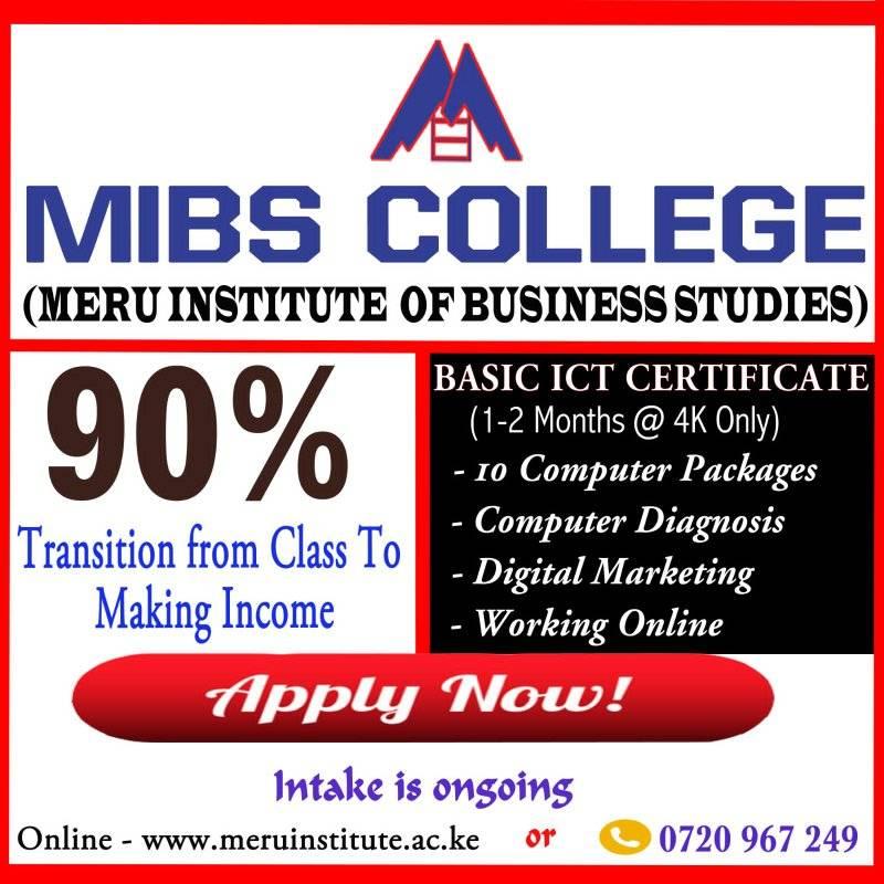 Meru Institute of Business Studies | Meru