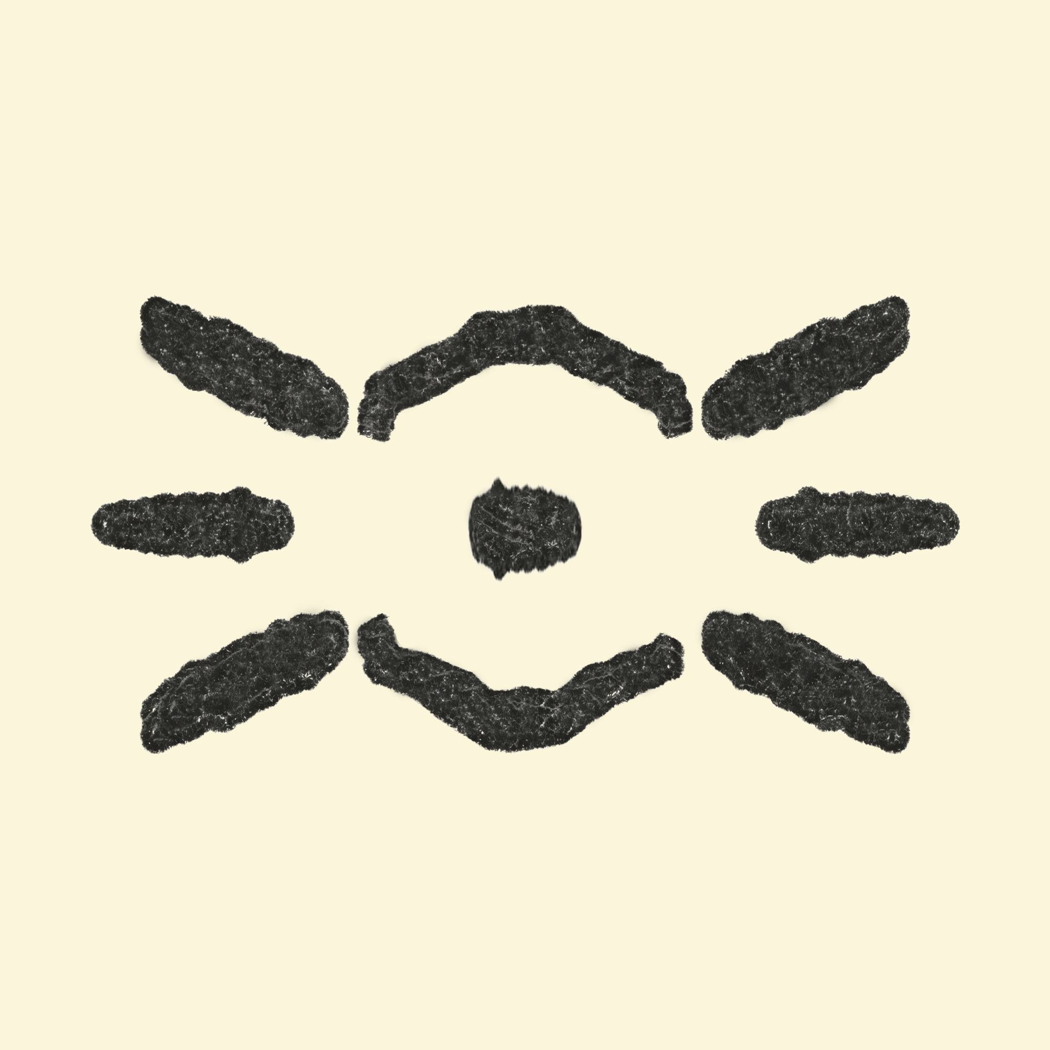 Sunidaze