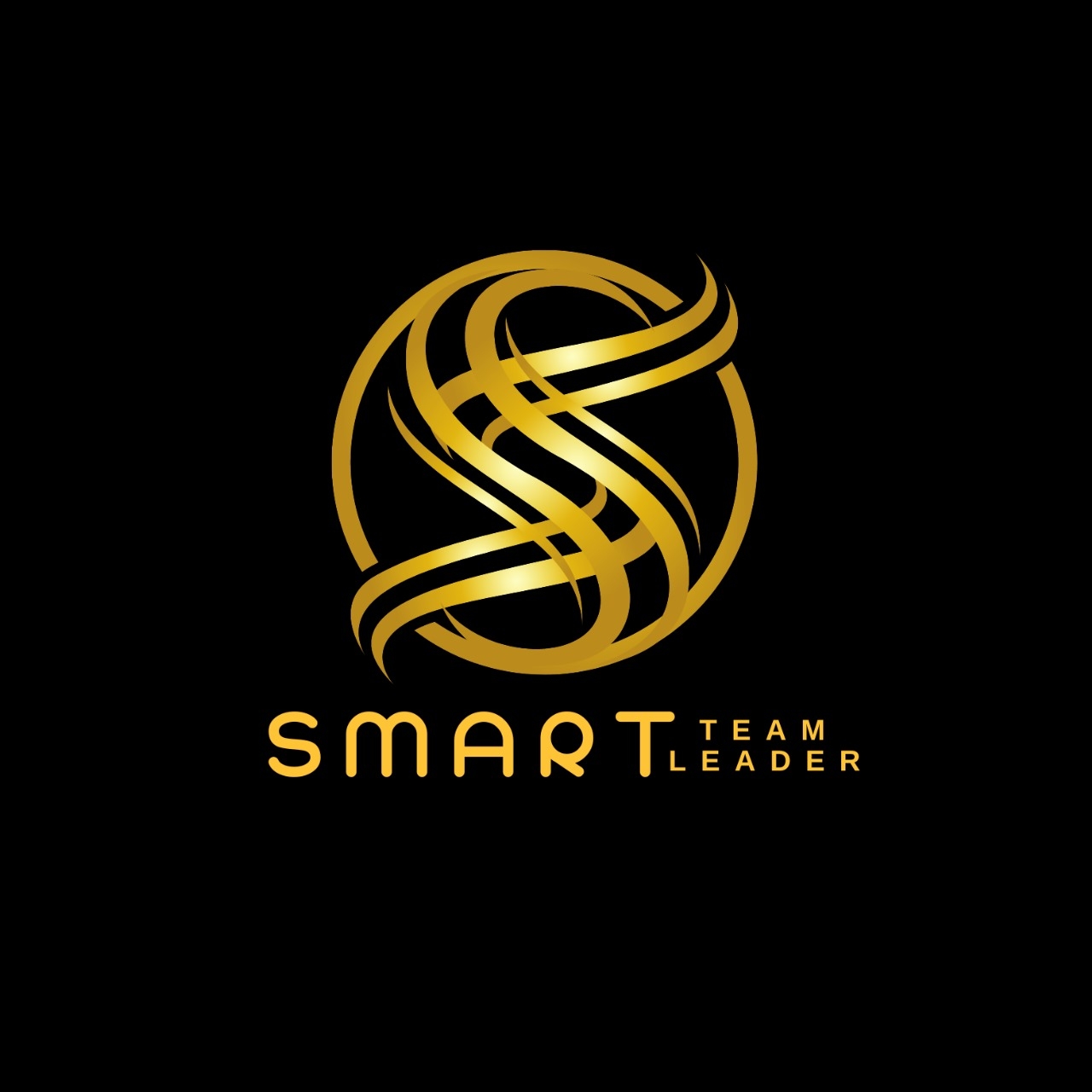 Smart team smart leaders | Tallmadge OH