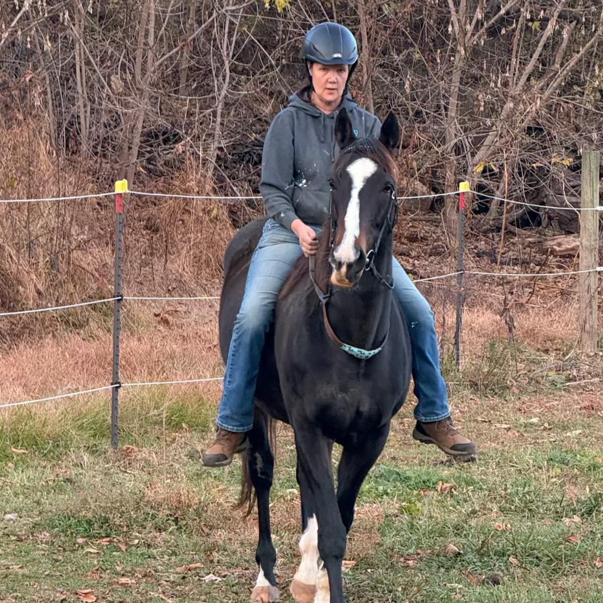 Mercury Rising Ranch