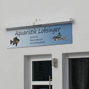 Aquaristik Lobsinger | Plüderhausen