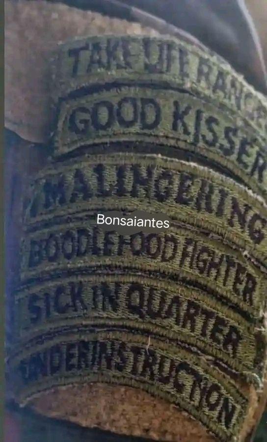 Bonsaiantes Monsalod Ranoco