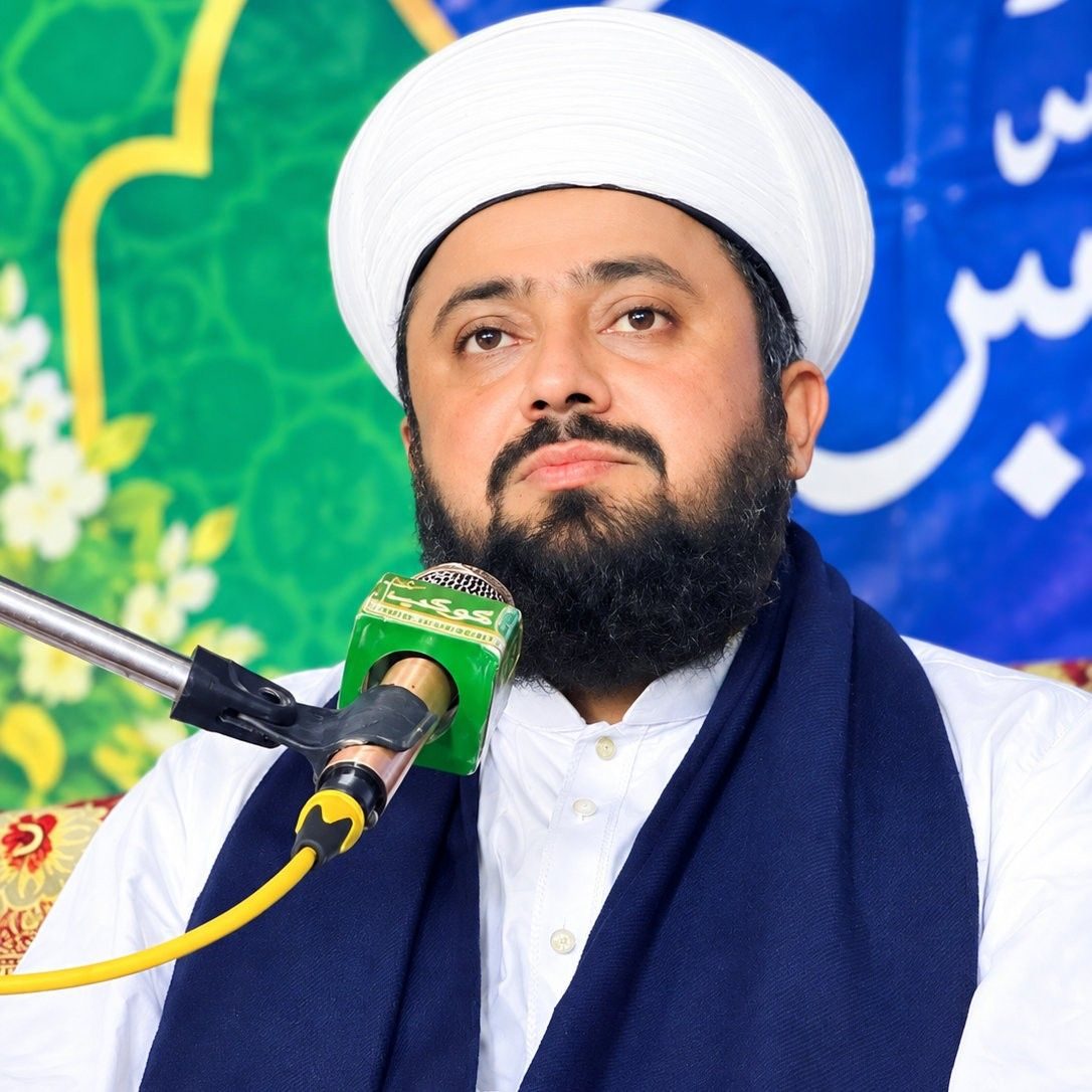 Syed Zain Ul Raza