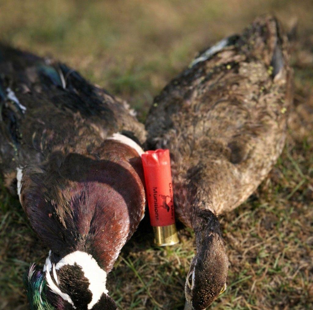 How are y’all staying warm in layout blinds? Any tips | Facebook