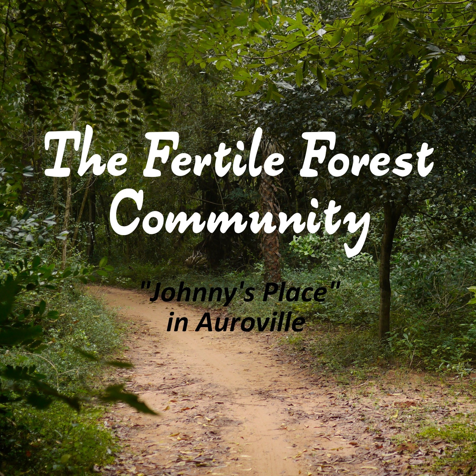 Fertile Forest