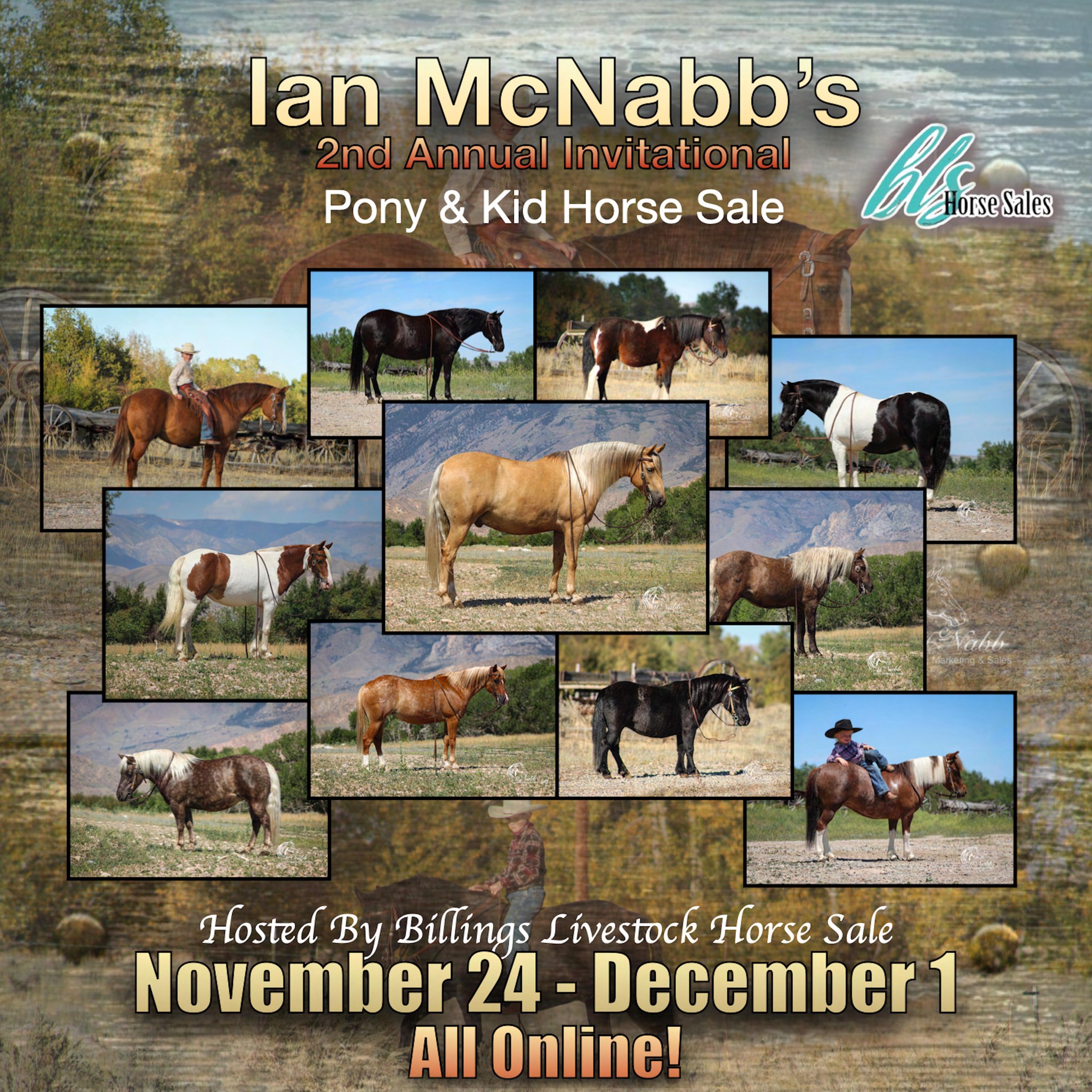 Quarter Circle 4R Ranch Ponies