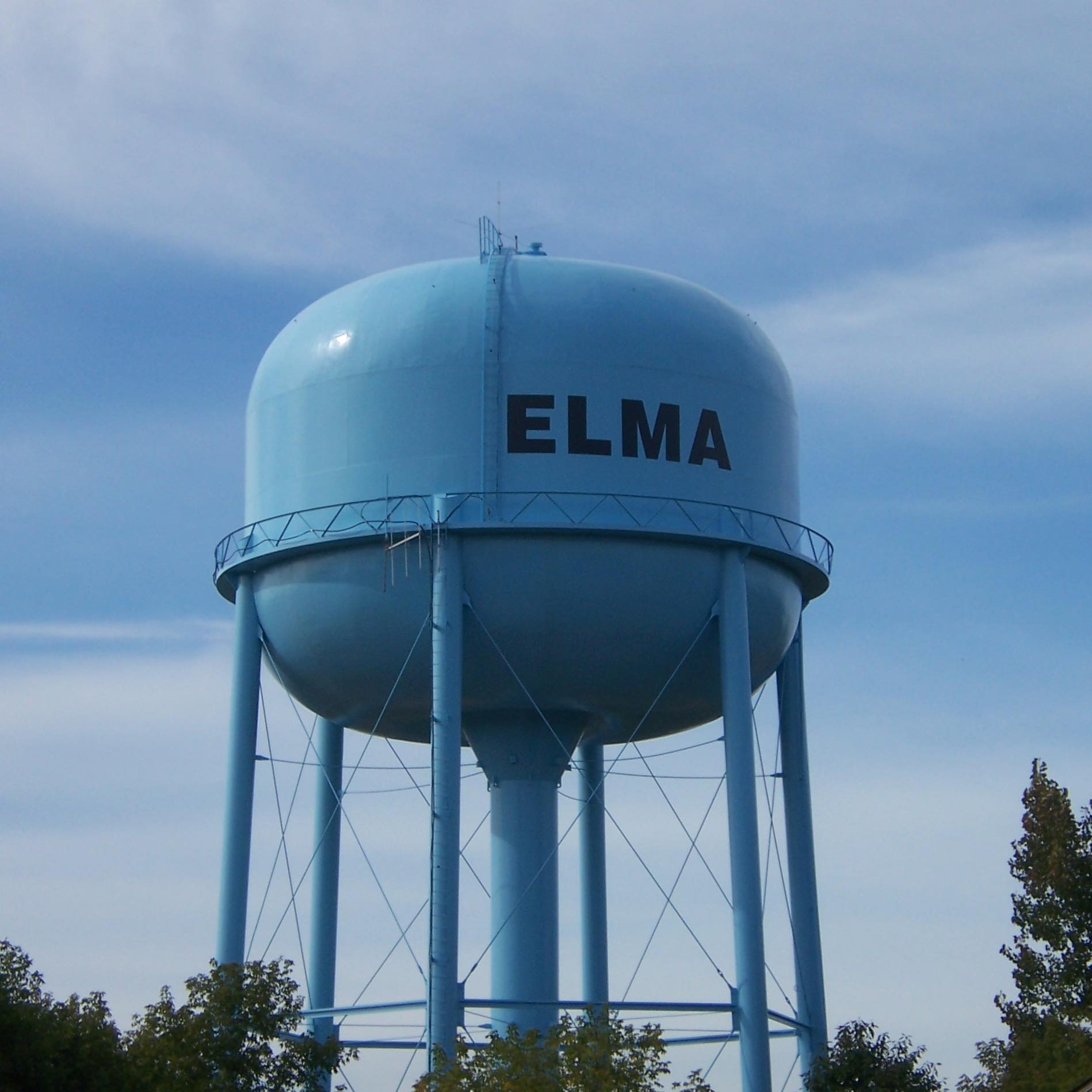 Elma Democratic Committee
