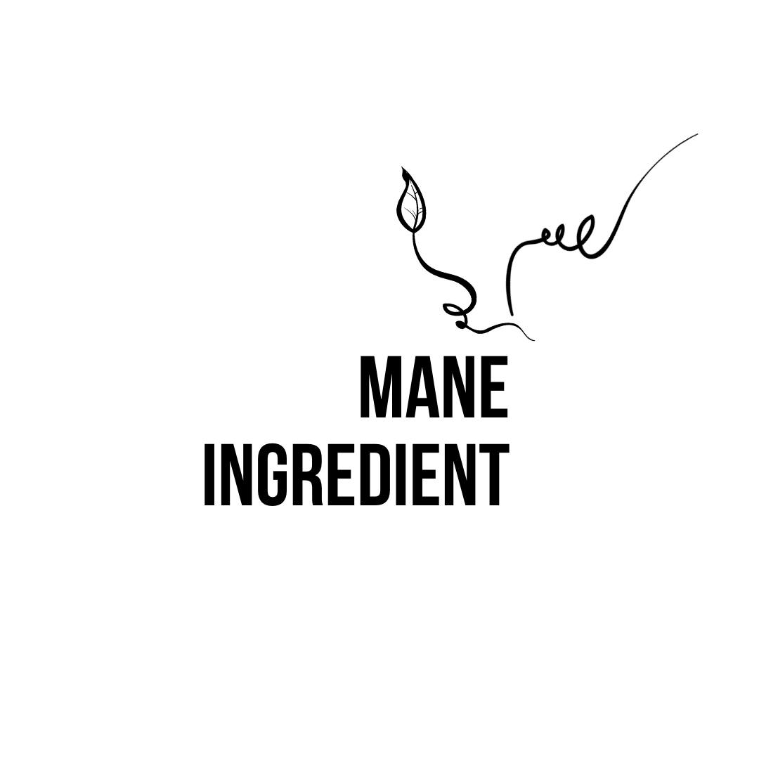 Mane Ingredient Hair Care
