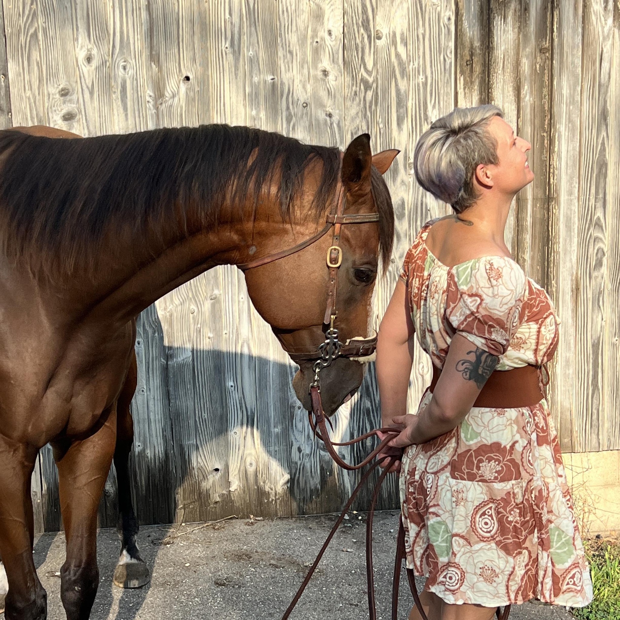 I love it when new customers send videos of their pets enjoying the ...