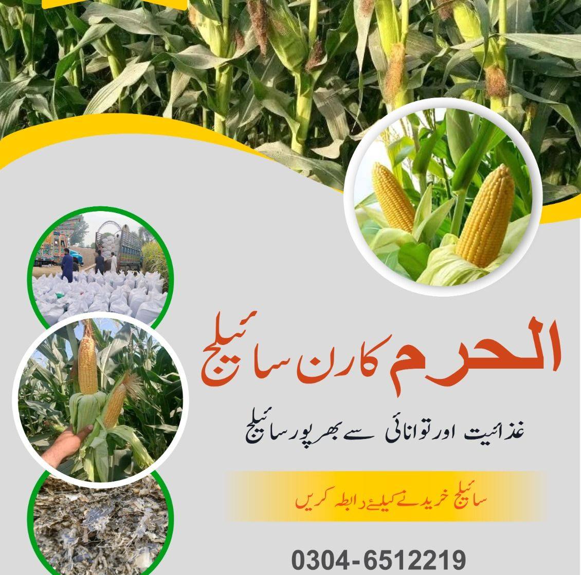 Al Harram Silage