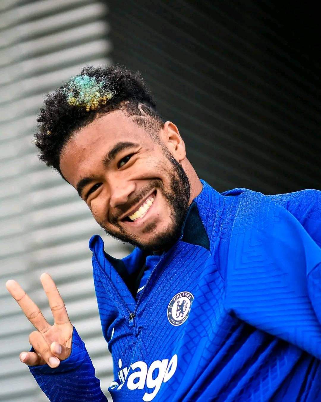 Reece James Fans