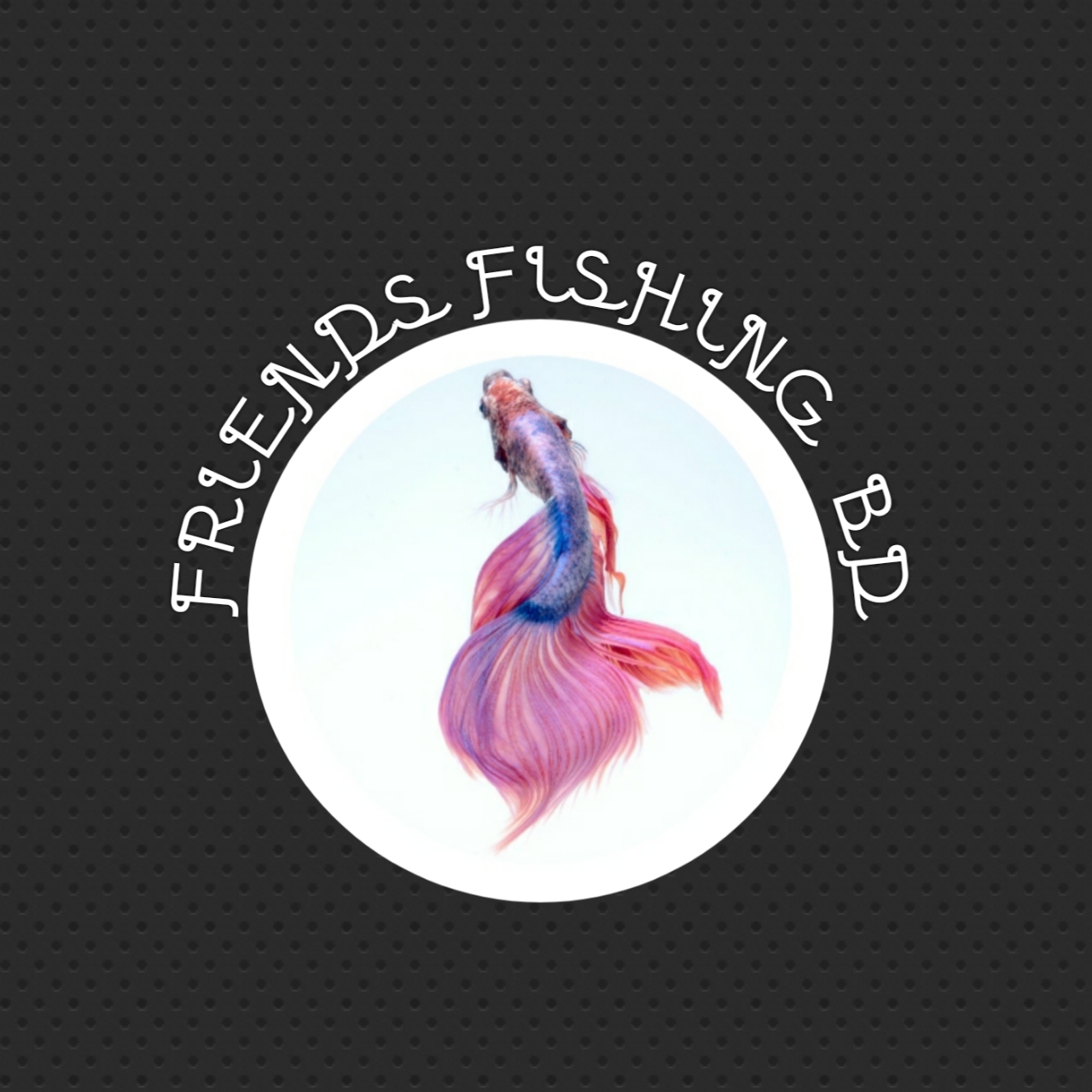 Friend Fishing BD