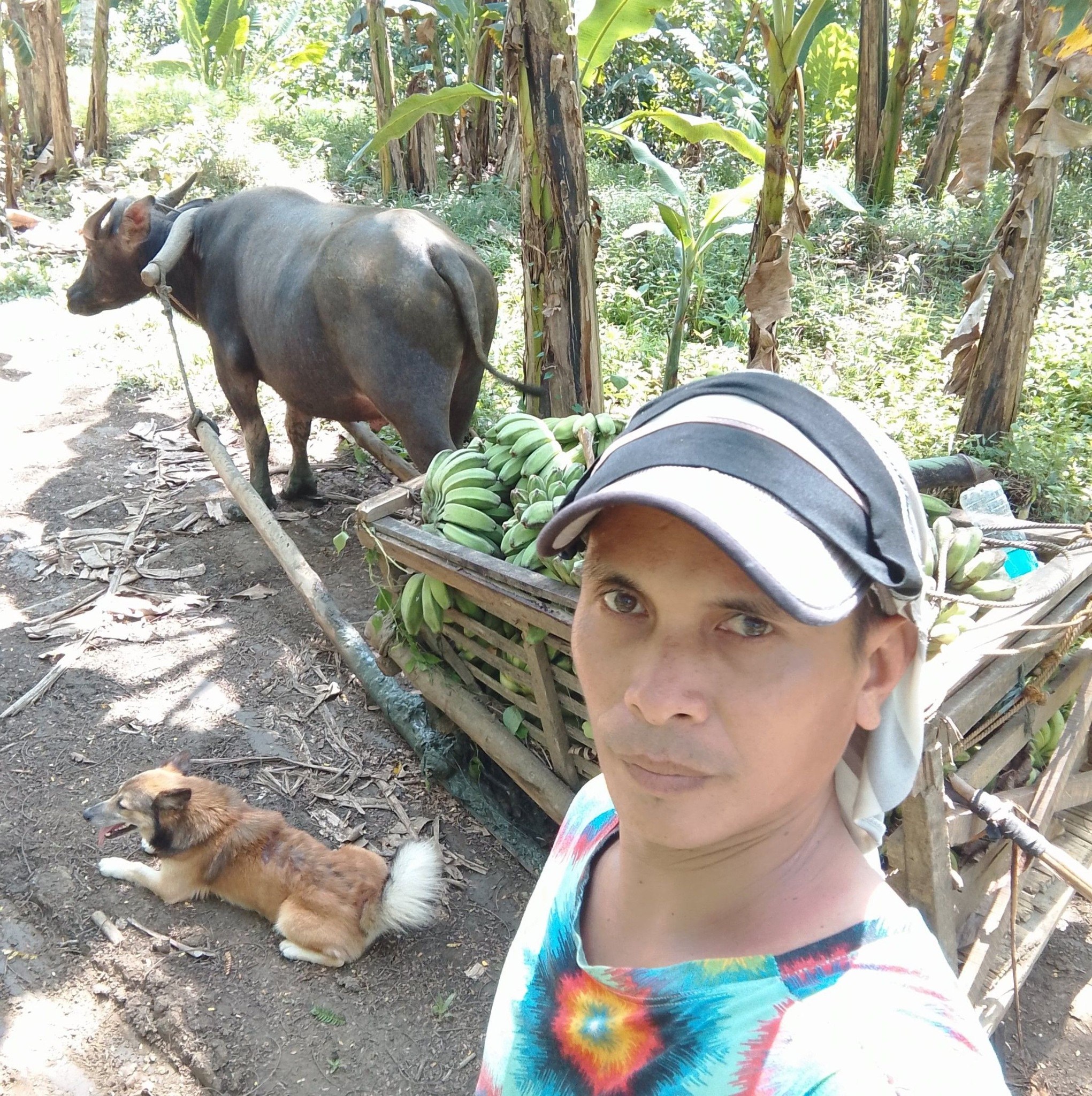 308- Advance merry christmas to all #BlessedMonth #manifest #goodvibes ...