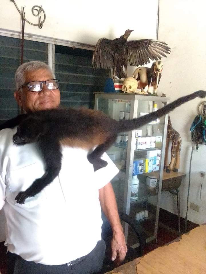 Veterinaria la mascota jinotepe | Jinotepe