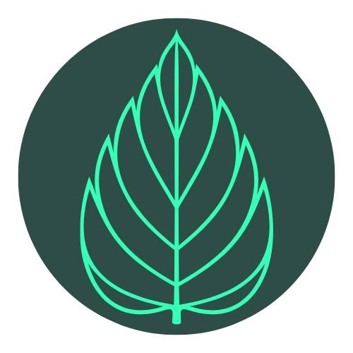 Mint Reno Nv _ MYNT Cannabis Dispensary Downtown Reno – VQCKC