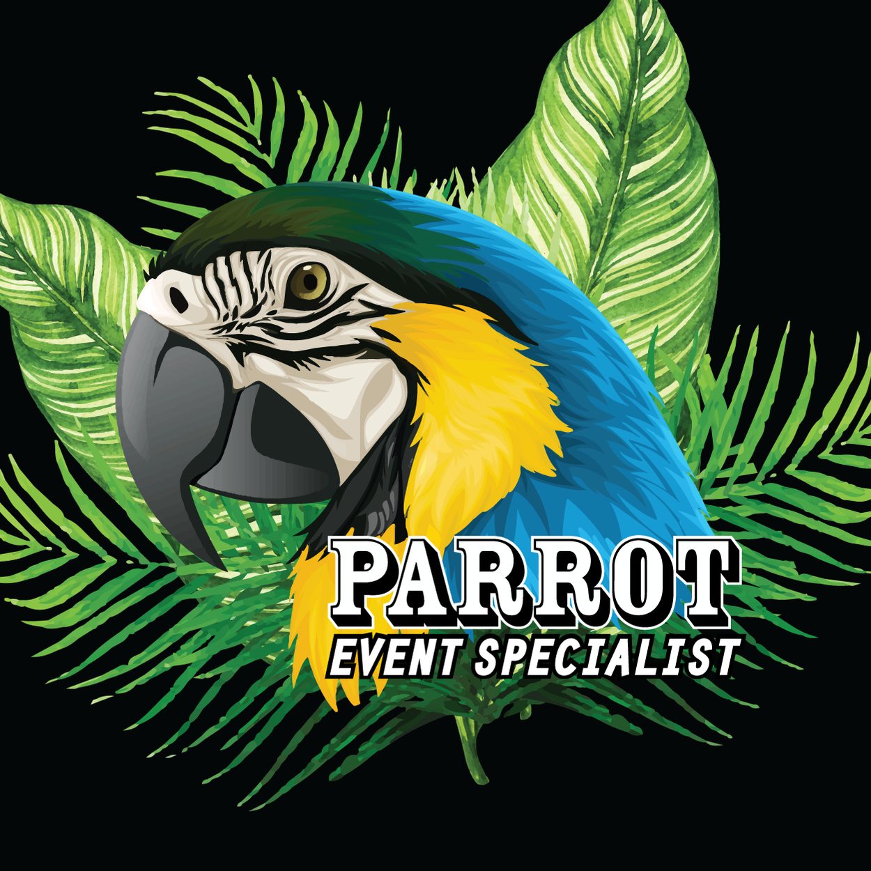 Image result for Parrot cognitive stimulation products - Parrot Cognitive Stimulation Products