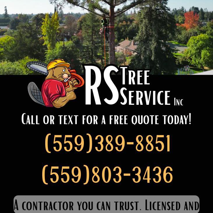 RS Tree Service