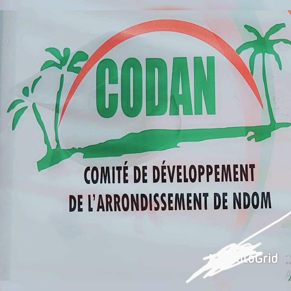 CODAN