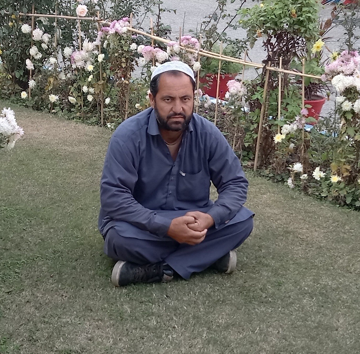 مور او پلار #viralphotochallengeفیصلہ ...