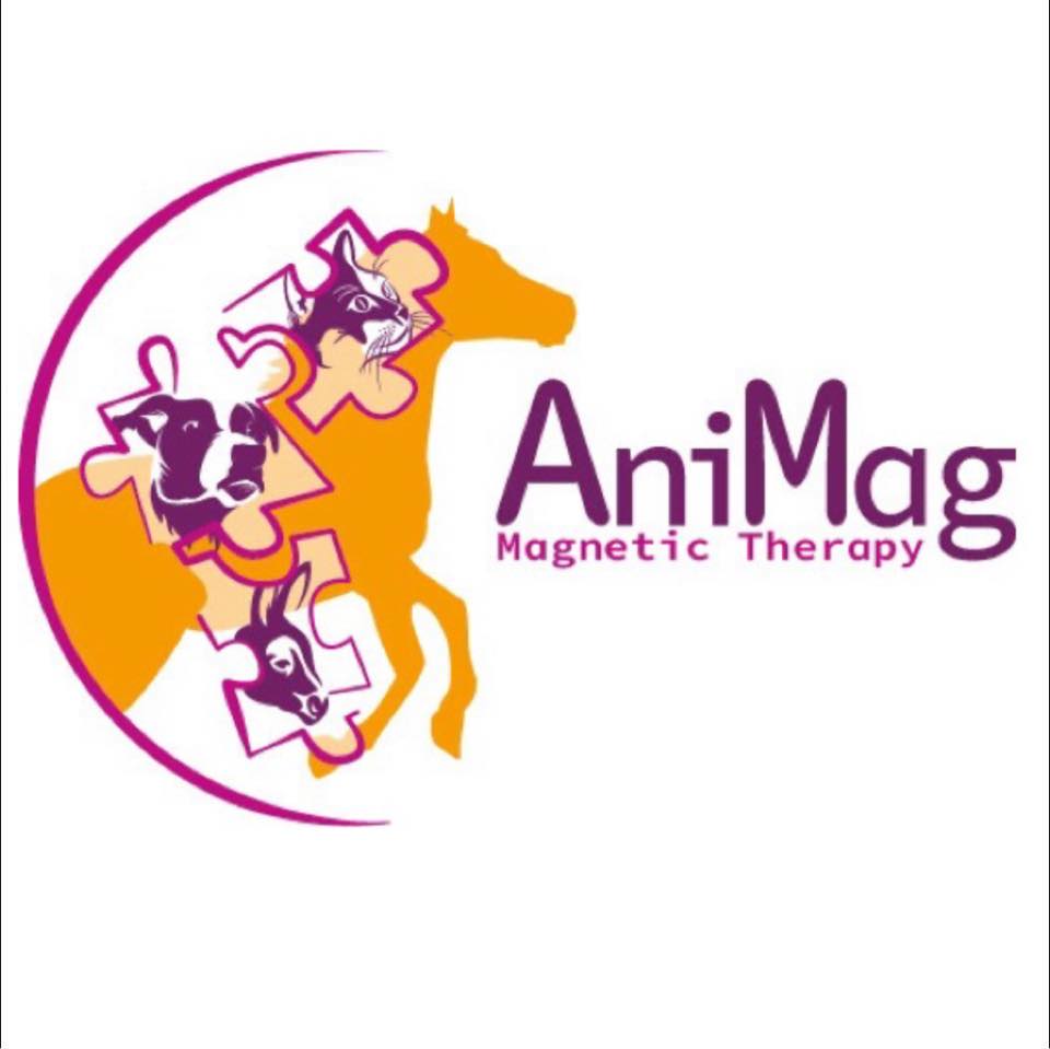 AniMag | Steinfort