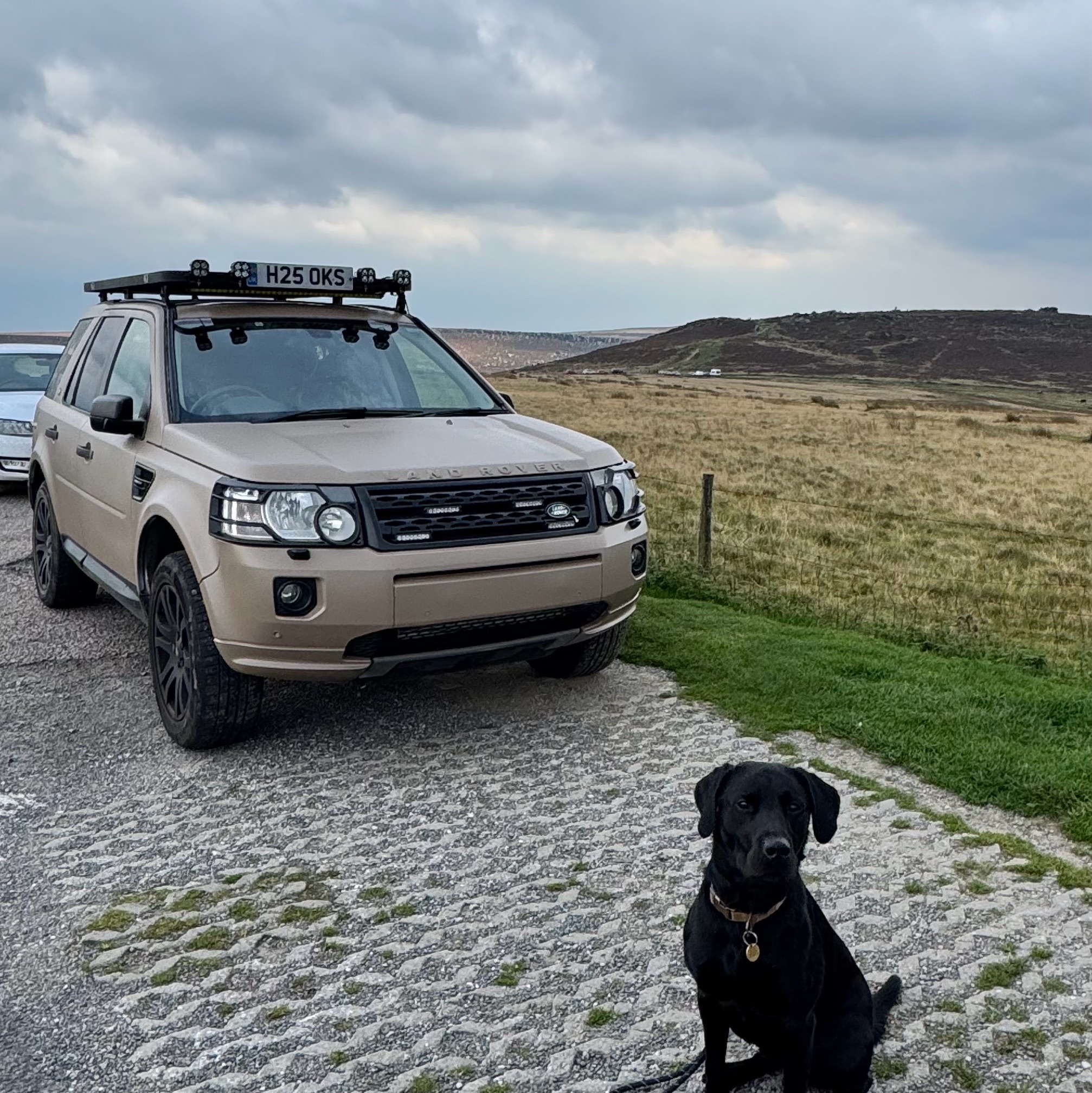 Land Rover Freelander 2 Owners Group -FLO2G- | Hey girls and guys ...