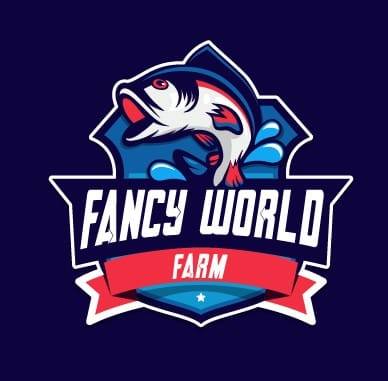 FANCY WORLD