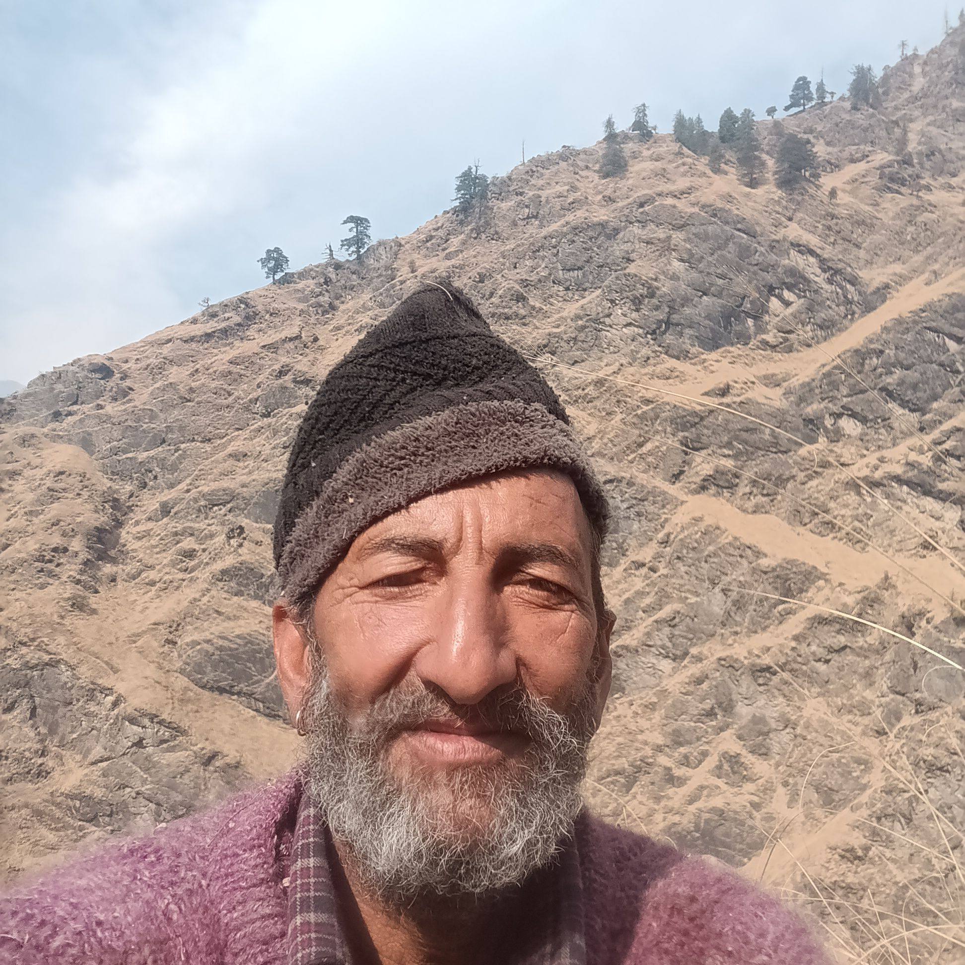 Shiv Fruit Company Shop No-23 Phad No-5 New Sabzi Mandi Mehandli Rohru ...