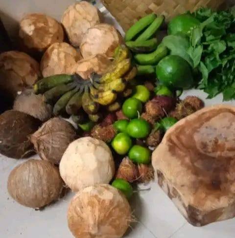 Purong Mangyan Vlog
