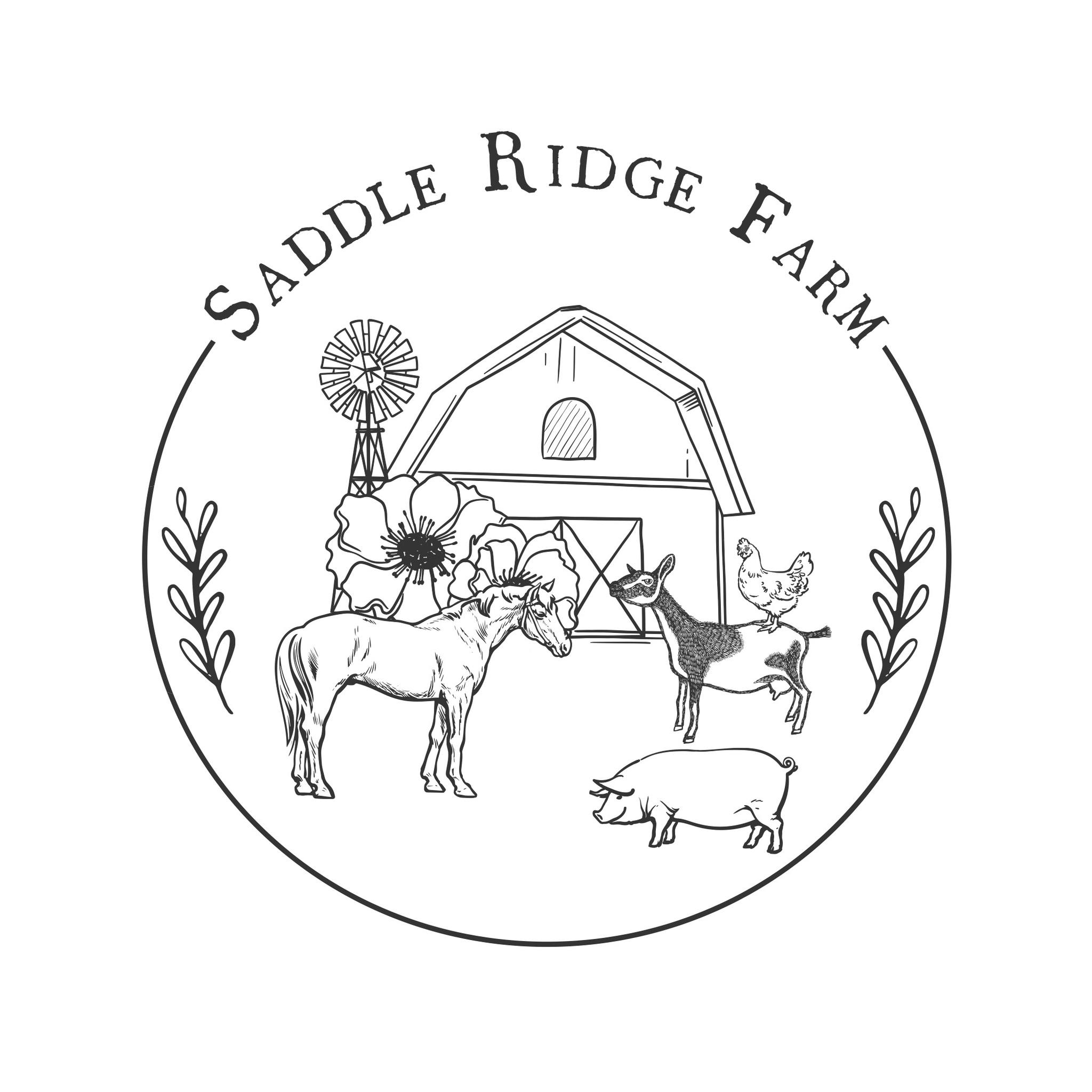 Saddle Ridge Farm