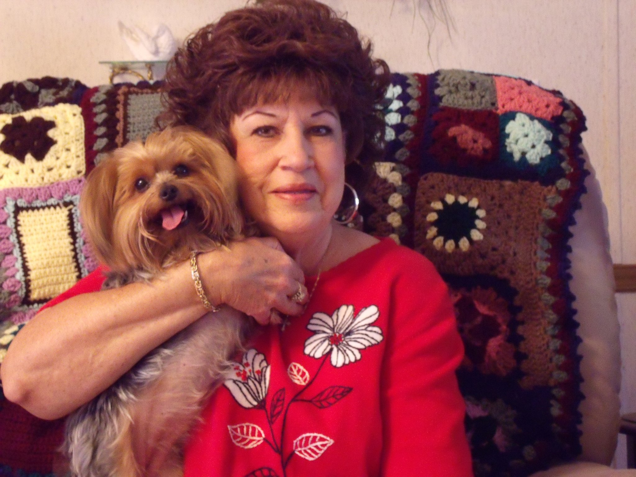 Teacup Yorkies For Adoption | Today is a giveaway day who is lucky to ...