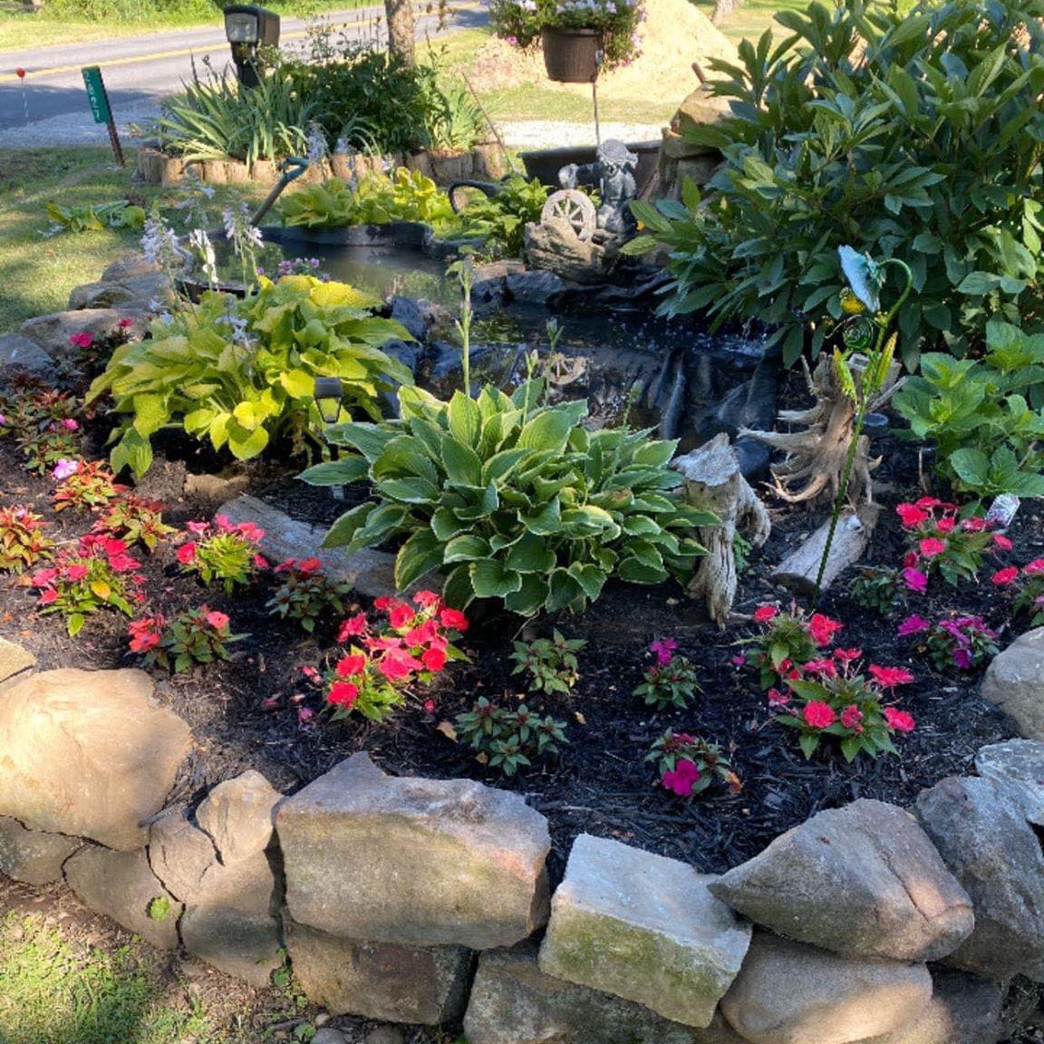 Spring Hill / Hudson /Brooksville- Buy/Sell/Trade/ Promote Your ...