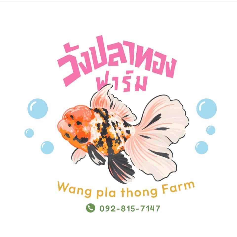 Nara goldfish | Nakhon Pathom