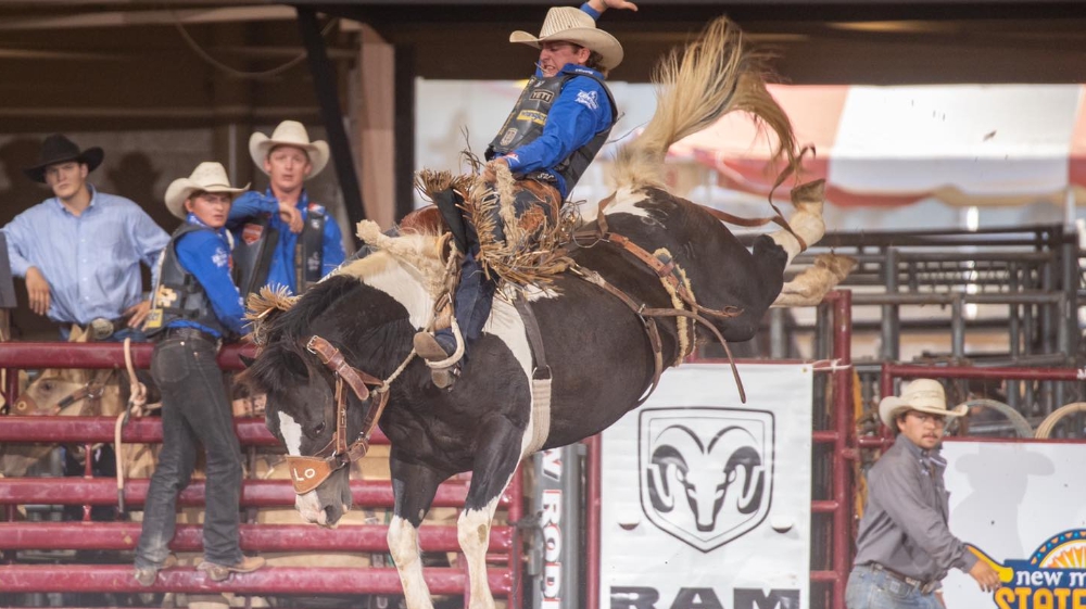 Auto Nation's Rodeo Columbus 2023 Live | Columbus GA