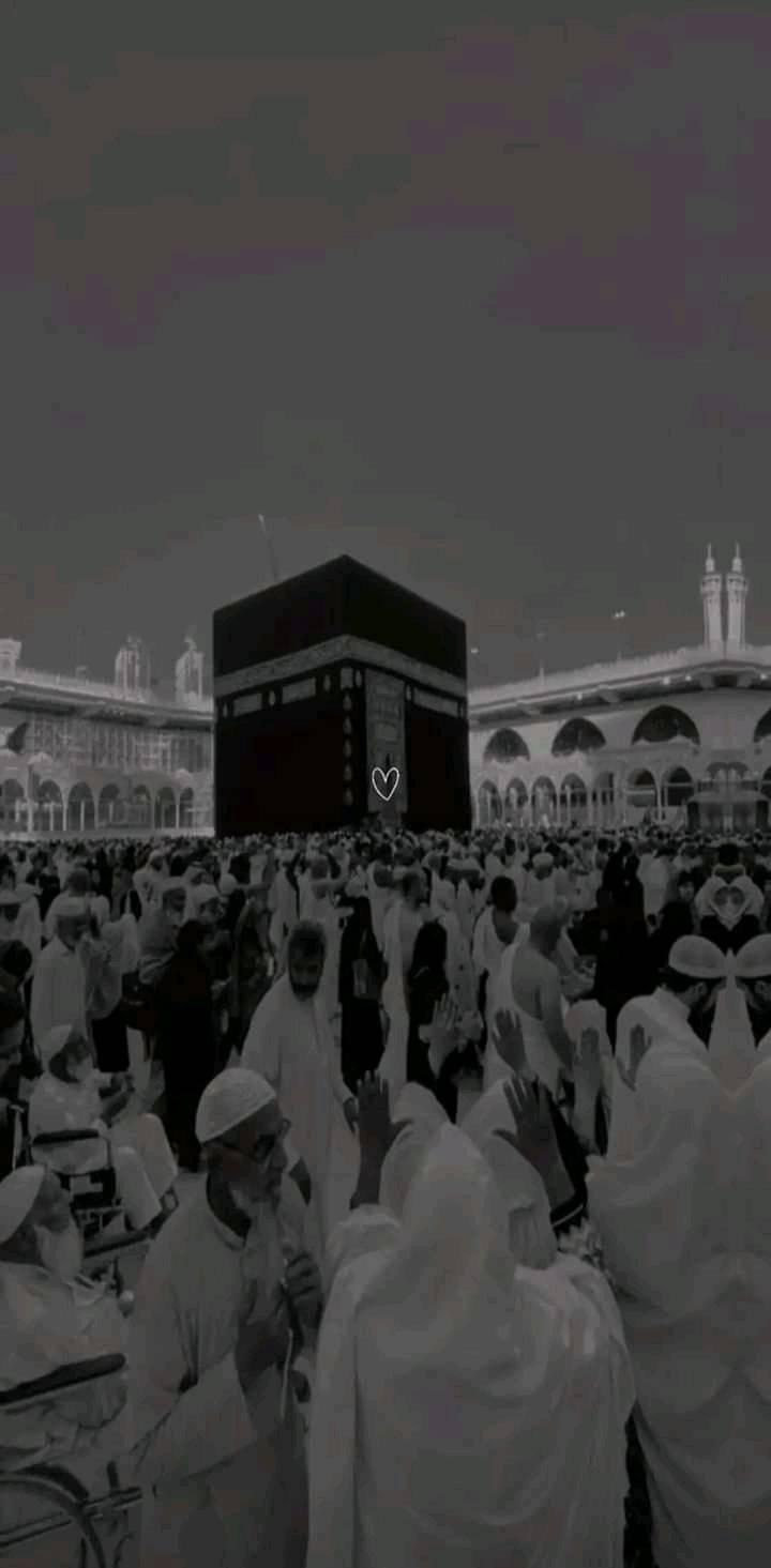 #تخفيض حوض الصيد فقط 75 د.ل المحتويات مثل الفيديو تماما : - حوض قابل ...