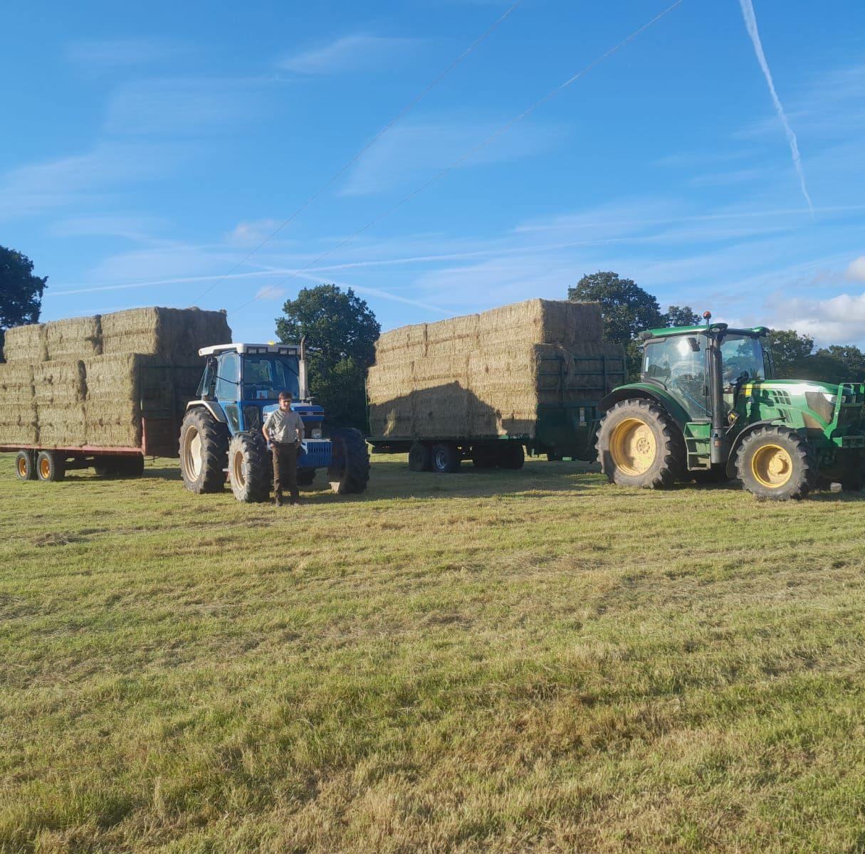East Bridgford Community | Suspected case of sheep worrying/attack ...