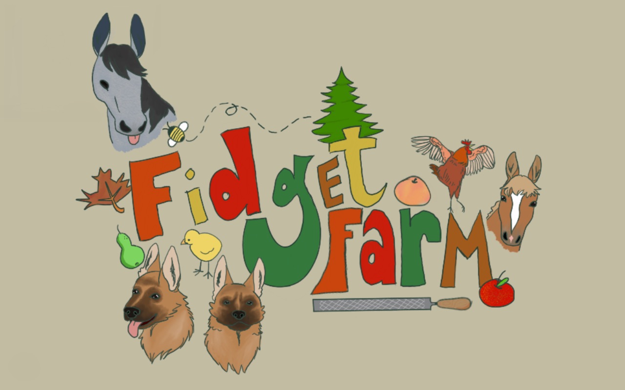 Fidget Farm | Tilton NH