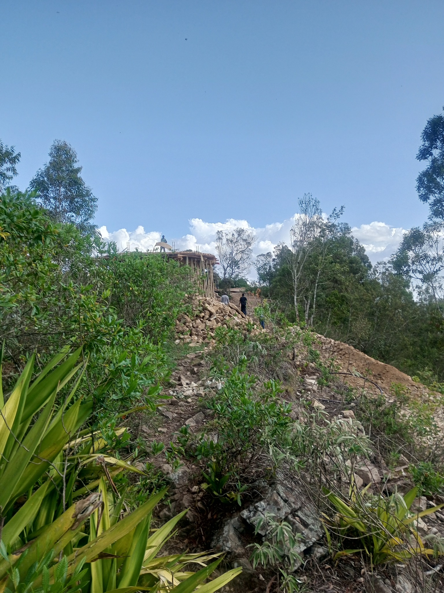 Dongodo Peak Safari Lodge | Moshi