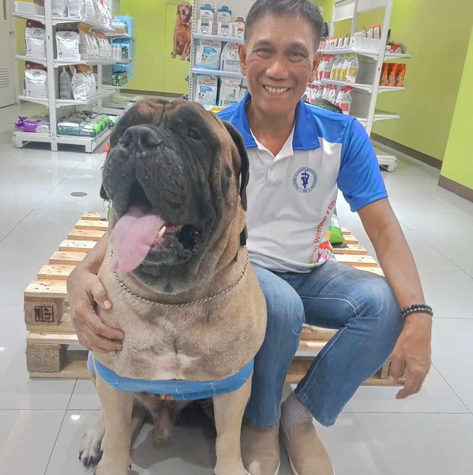 Vetermedics Animal Health | Marikina City