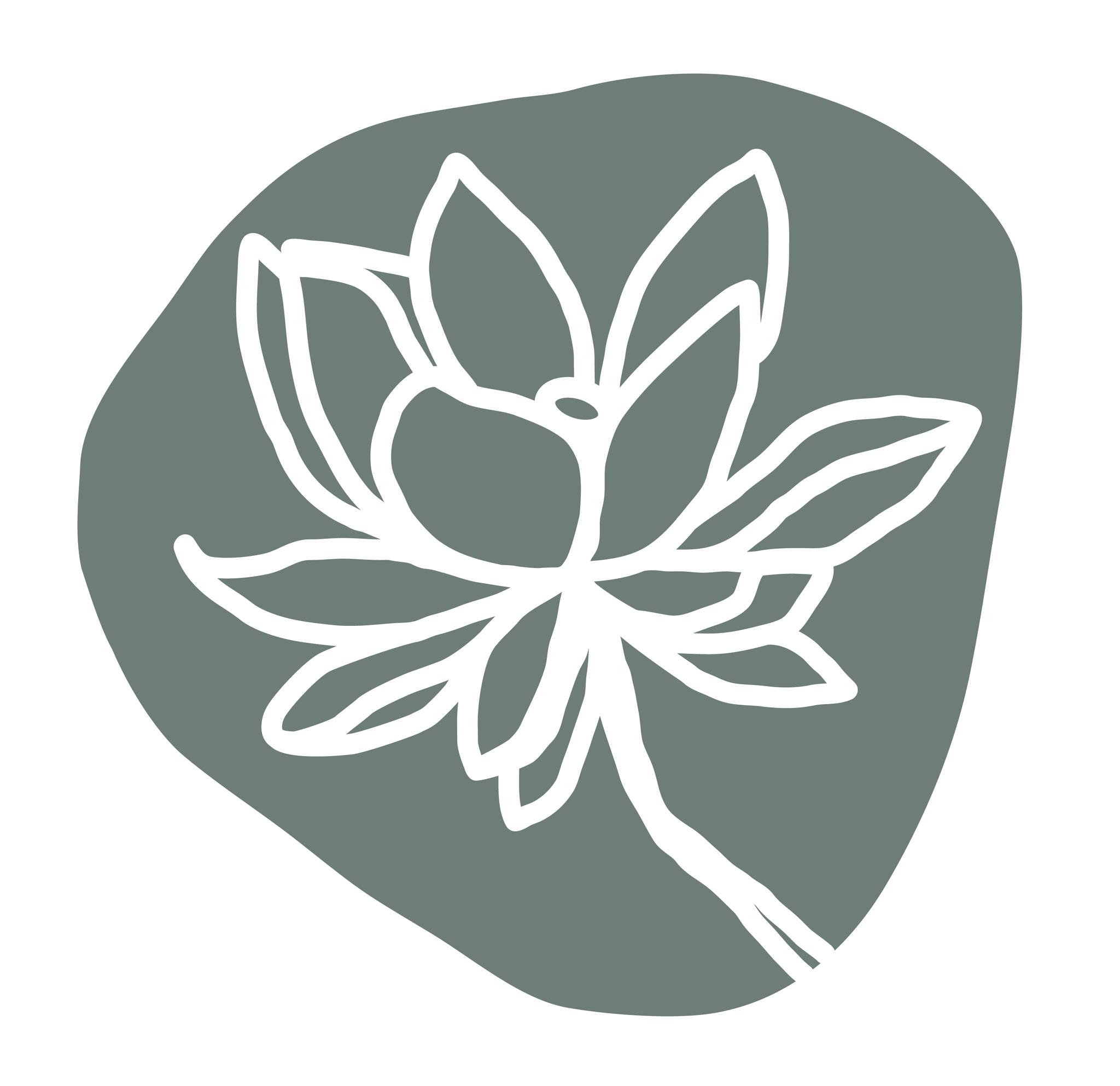 Lotus Yoga Studio | Point Lonsdale VIC
