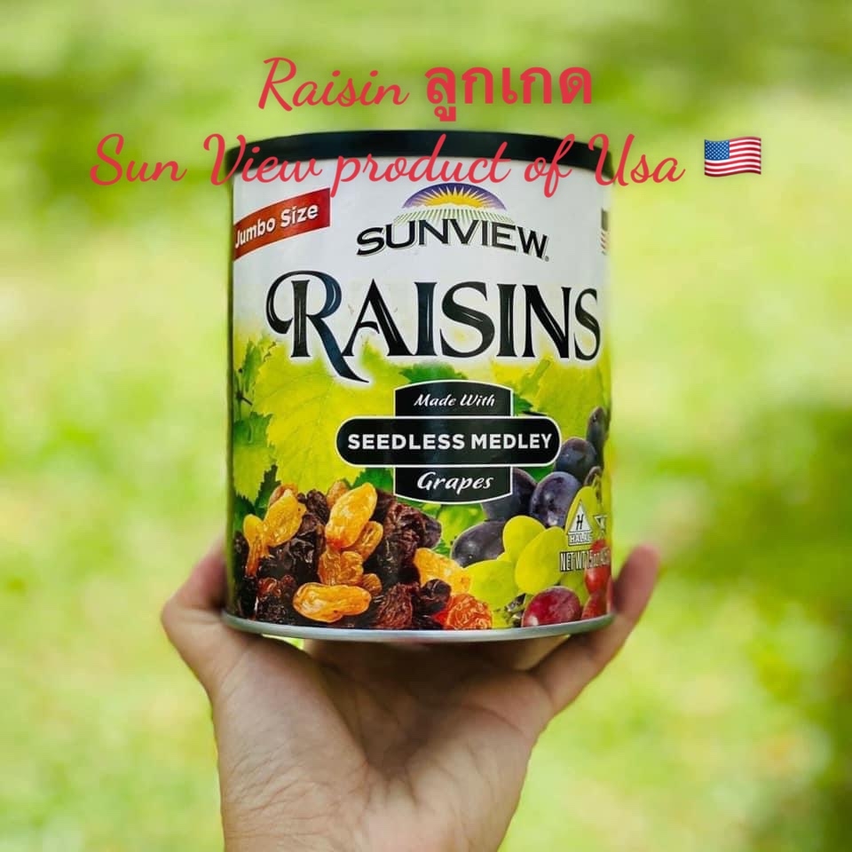 Raisin ลูกเกด